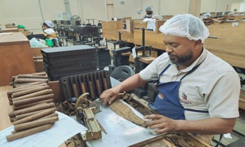 Zdjęcie DOMINIKANA / . / Santiago de Los Caballeros / W fabryce cygar La Aurora