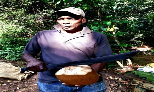 Zdjęcie DOMINIKANA / Półwysep  Samana / Park Narodowy Los Haitises / Kokosowy machetero