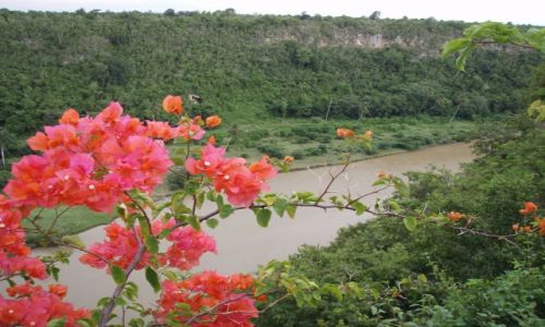 Zdjęcie DOMINIKANA / Altagracia / Rio de Chavon / pejzaż z bugenwilą
