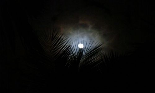 Zdjęcie DOMINIKANA / Bayahibe / Bayahibe / Karaiby