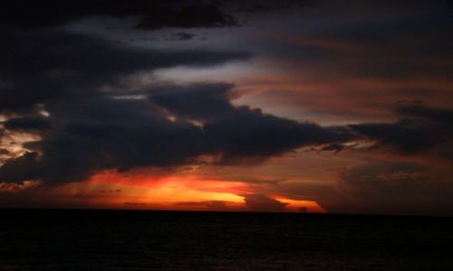 Zdjęcie DOMINIKANA / Bayahibe / plaża / Zachód słońca