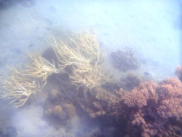 Zdjęcia: Hurghada, W wodzie, EGIPT Zdjęcia: Hurghada, W wodzie, EGIPT