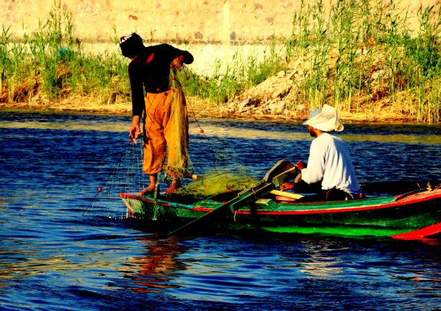 Zdjęcia: Luxor, Po Nilu 23, EGIPT Zdjęcia: Luxor, Po Nilu 23, EGIPT