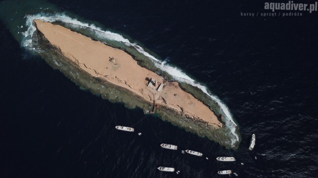 Zdj cia: Brothers Islands, M Czerwone, Duy brat, EGIPT