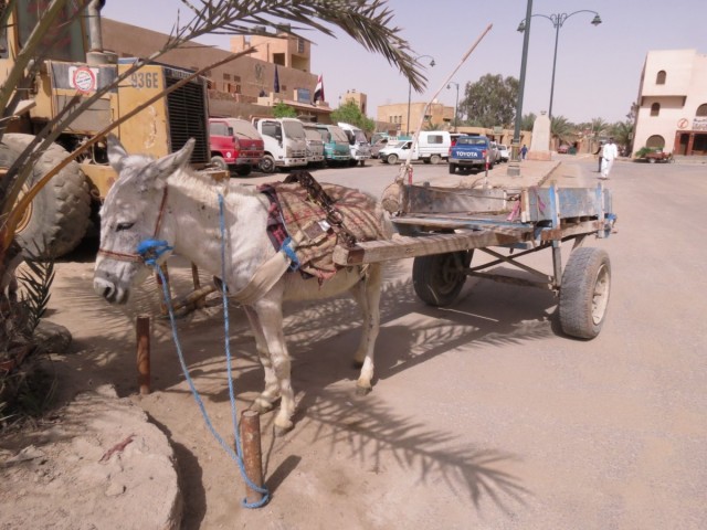 Zdj cia: Kair, Afryka, siwa centrum, EGIPT Zdj cia: Kair, Afryka, siwa centrum, EGIPT