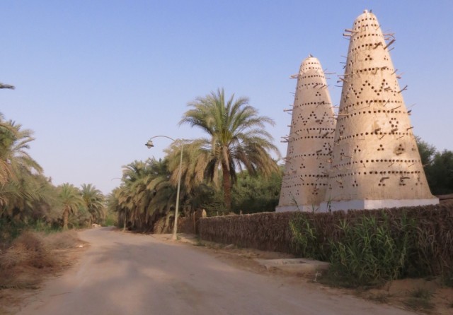 Zdj cia: Kair, Afryka, siwa droga rowerow, EGIPT Zdj cia: Kair, Afryka, siwa droga rowerow, EGIPT