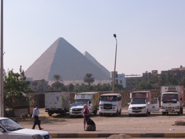 Zdj cia: Kair, Afryka, Kebda Camel 1, EGIPT Zdj cia: Kair, Afryka, Kebda Camel 1, EGIPT