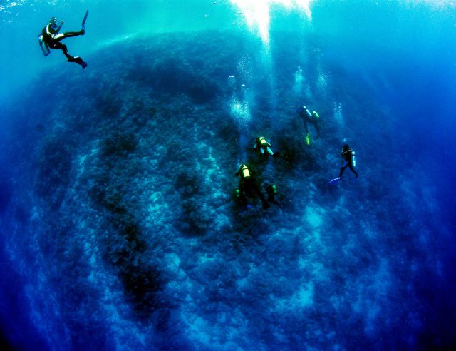 Zdjęcia: Sharm el Sheikh, Morze Czerwone, Inny Swiat, EGIPT Zdjęcia: Sharm el Sheikh, Morze Czerwone, Inny Swiat, EGIPT