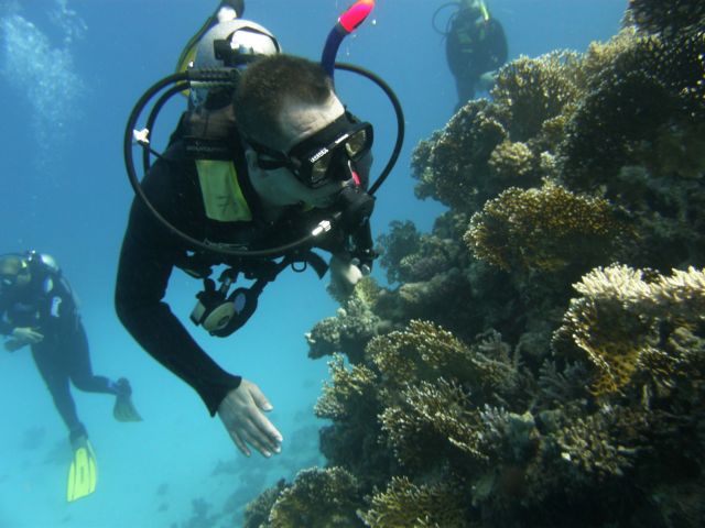 Zdjęcia: rafa nieopodal, Hurghada, a kuku jest tu kto?, EGIPT Zdjęcia: rafa nieopodal, Hurghada, a kuku jest tu kto?, EGIPT