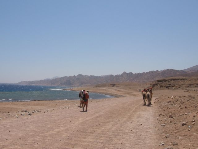 Zdjęcia: Dahab, Synaj, Powrót z Blue Hole, EGIPT Zdjęcia: Dahab, Synaj, Powrót z Blue Hole, EGIPT