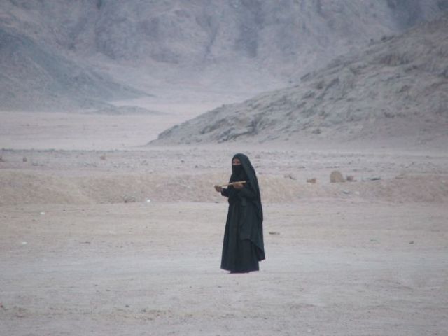 Zdjęcia: Sahara, Gdzieś na pustyni, EGIPT Zdjęcia: Sahara, Gdzieś na pustyni, EGIPT
