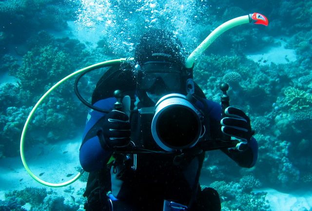 Zdjęcia: Marsa Alam, Marsa Alam, Proszę o uśmiech :), EGIPT Zdjęcia: Marsa Alam, Marsa Alam, Proszę o uśmiech :), EGIPT