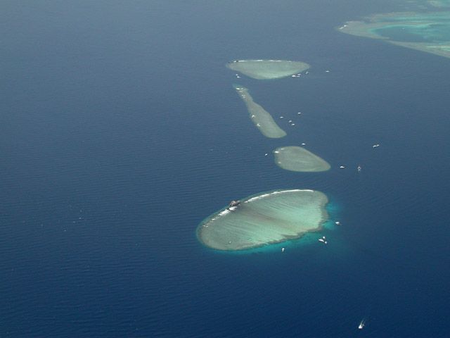 Zdjęcia: Sharm el - Sheikh, Sharm el - Sheikh, nurkowanie na rafach, EGIPT Zdjęcia: Sharm el - Sheikh, Sharm el - Sheikh, nurkowanie na rafach, EGIPT
