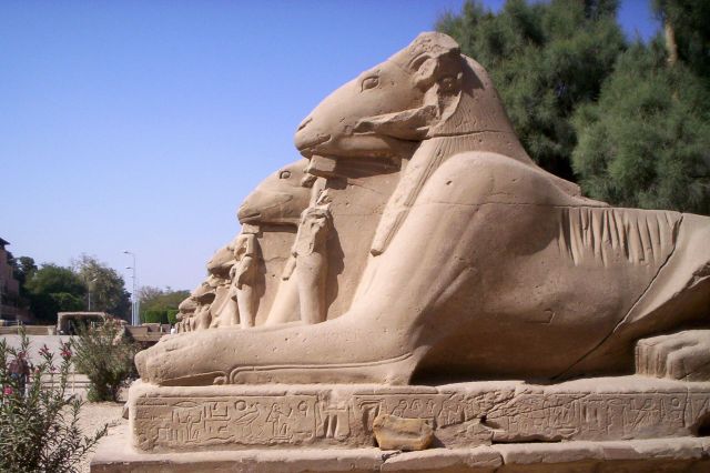 Zdjęcia: Karnak, Luksor, Aleja sfinksów, EGIPT Zdjęcia: Karnak, Luksor, Aleja sfinksów, EGIPT