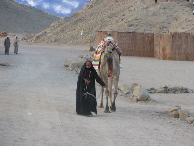 Zdjęcia: ___________, Hurghada, pustynia, EGIPT Zdjęcia: ___________, Hurghada, pustynia, EGIPT