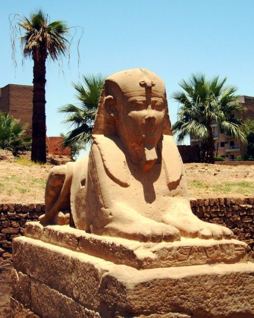 Zdjęcia: Luxor, Luxor, Luxor, EGIPT Zdjęcia: Luxor, Luxor, Luxor, EGIPT