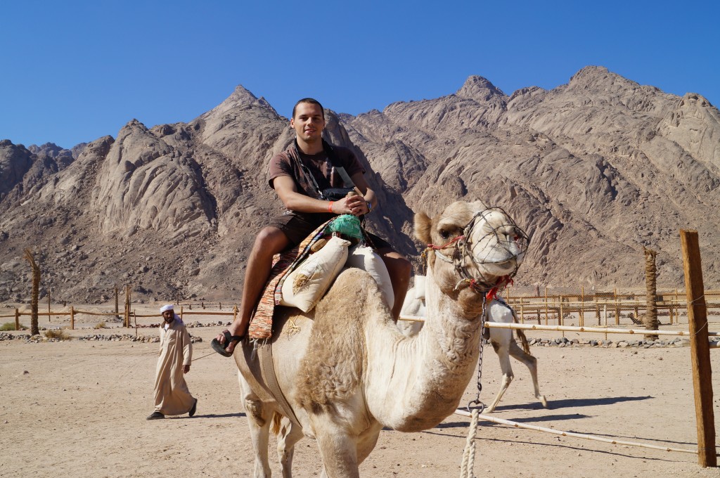 Zdjęcia: Pustynia, Hurghada, Egipt 2012, EGIPT Zdjęcia: Pustynia, Hurghada, Egipt 2012, EGIPT