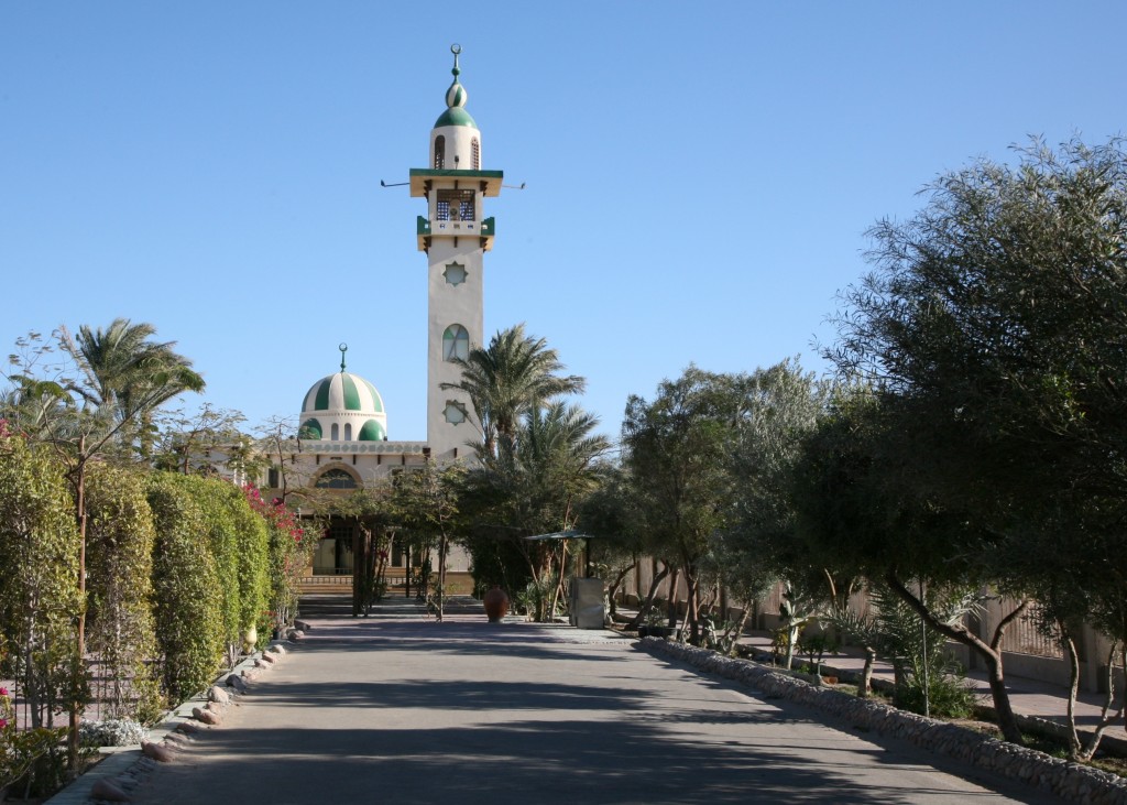 Zdjęcia: Hurghada, meczet, Egipt wschodni, Ogrody, EGIPT Zdjęcia: Hurghada, meczet, Egipt wschodni, Ogrody, EGIPT