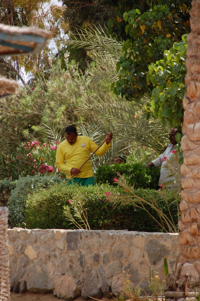 Zdjęcia: El Gouna, Ogrodnicy., EGIPT Zdjęcia: El Gouna, Ogrodnicy., EGIPT