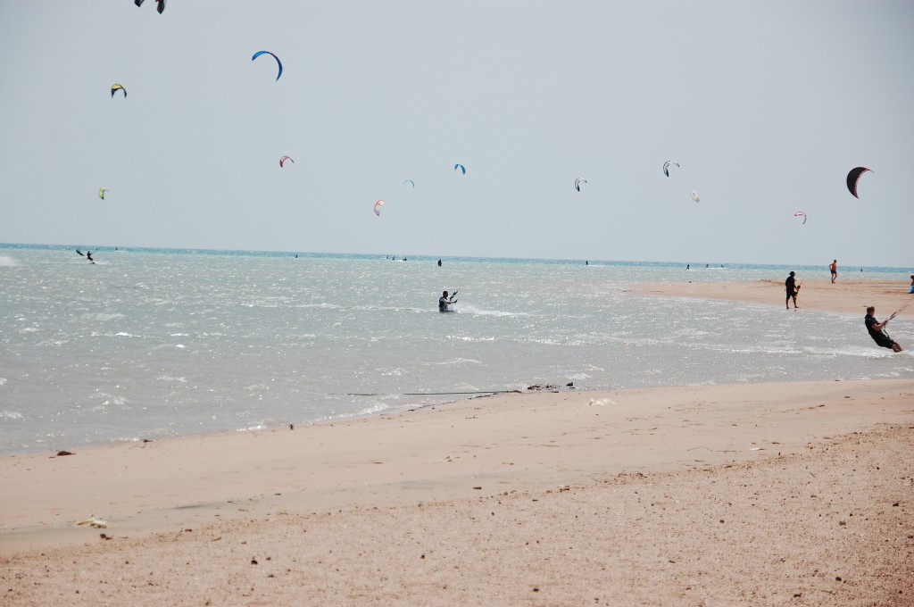 Zdjęcia: El Gouna, Latawce., EGIPT Zdjęcia: El Gouna, Latawce., EGIPT