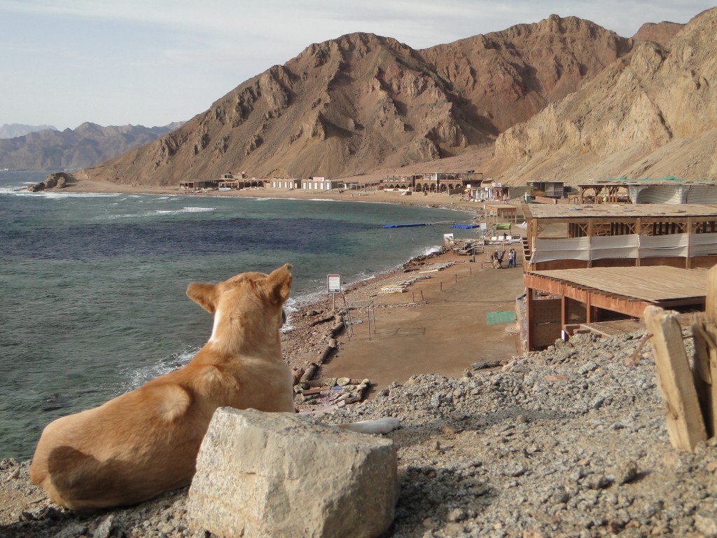 Zdjęcia: Dahab, Synaj, Spokój nad Blue Hole., EGIPT Zdjęcia: Dahab, Synaj, Spokój nad Blue Hole., EGIPT