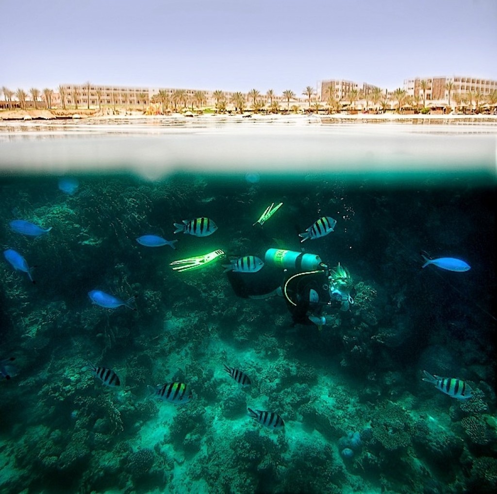 Zdjęcia: Marsa Alam, Marsa Alam, Pasja ..., EGIPT Zdjęcia: Marsa Alam, Marsa Alam, Pasja ..., EGIPT