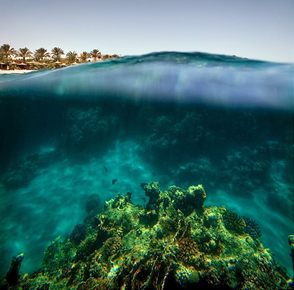 Zdjęcia: Marsa Alam, Marsa Alam, dwa swiaty ..., EGIPT Zdjęcia: Marsa Alam, Marsa Alam, dwa swiaty ..., EGIPT