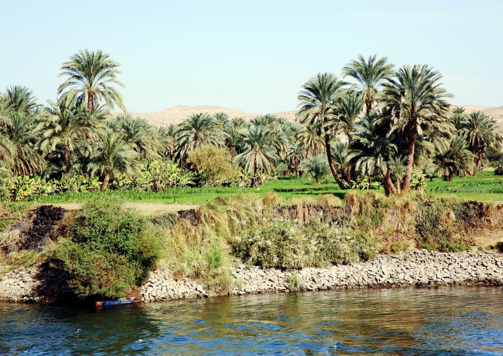 Zdjęcia: Nad Nilem, Edfu, Oaza, EGIPT Zdjęcia: Nad Nilem, Edfu, Oaza, EGIPT