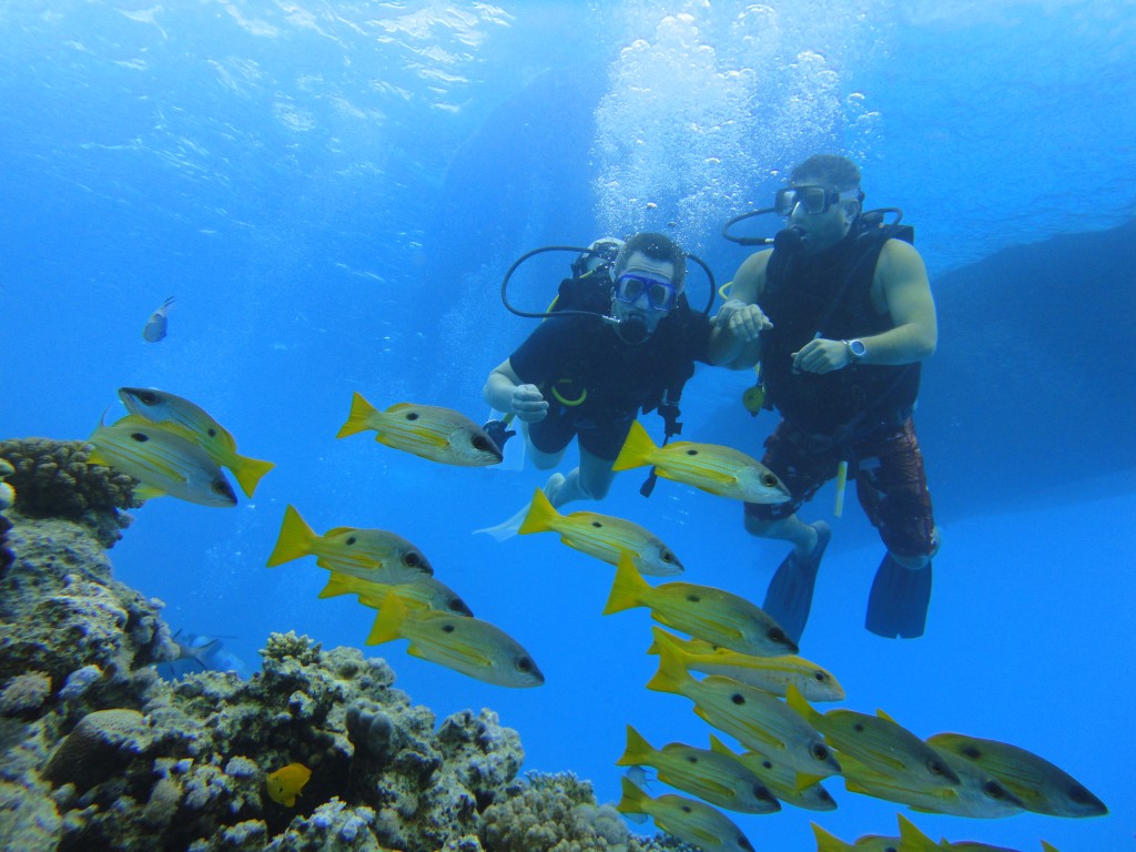 Zdjęcia: Sharm al Sheik  Błękitna Laguna, Sharm al Sheik, Egipt 2015, EGIPT Zdjęcia: Sharm al Sheik  Błękitna Laguna, Sharm al Sheik, Egipt 2015, EGIPT