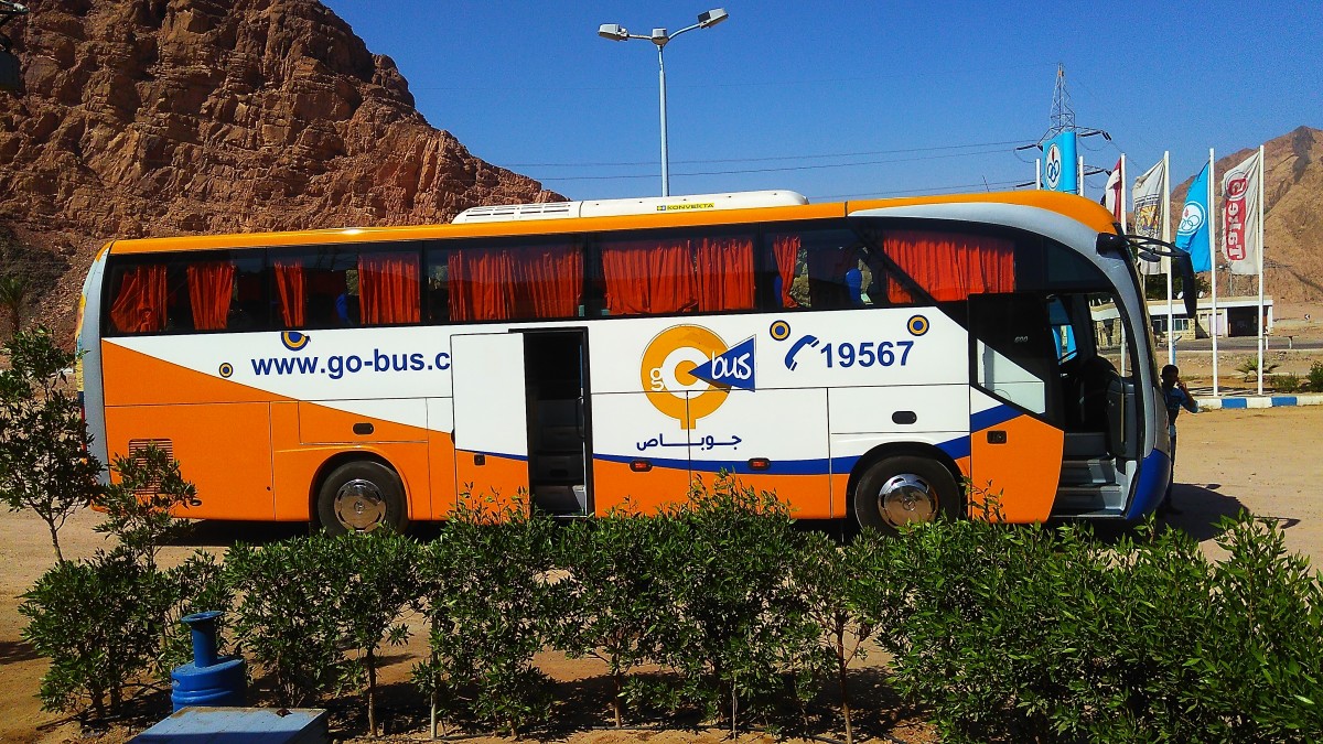 Zdjęcia: Kair, GO BUS, EGIPT Zdjęcia: Kair, GO BUS, EGIPT