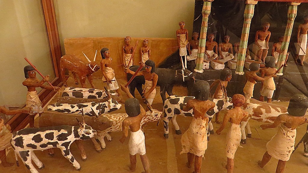 Zdjęcia: Kair - Muzeum Egipskie, Kair, przegląd bydła, EGIPT Zdjęcia: Kair - Muzeum Egipskie, Kair, przegląd bydła, EGIPT