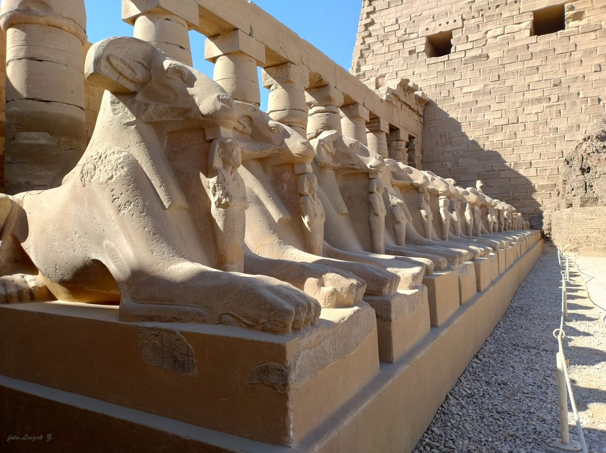 Zdjęcia: Luksor., Luksor., Aleja Sfinksów., EGIPT Zdjęcia: Luksor., Luksor., Aleja Sfinksów., EGIPT