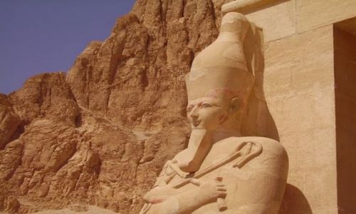 Zdjcie EGIPT / - / Luxor / Stranik wityni Hatszepsut