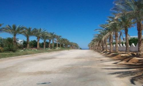 Zdjcie EGIPT / Sharm / Sharm el Sheik / droga do morza