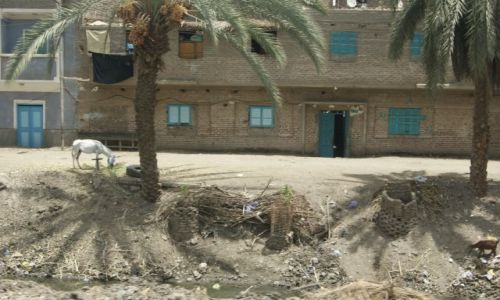 Zdjęcie EGIPT / - / okolice Esny / egipt 2010