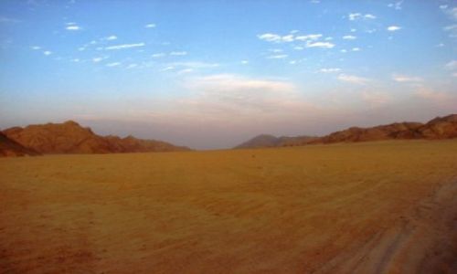 EGIPT / brak / oaza / Sahara