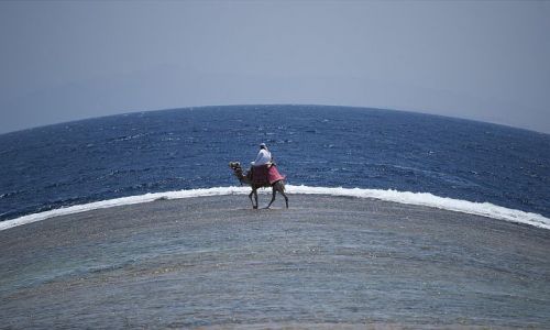 Zdjecie EGIPT / Sharm / Sharm / ....