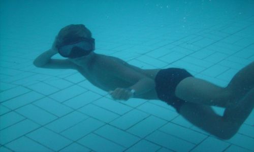Zdjecie EGIPT / Sharm / Nabi Bay / Basen w Egipcie-Podwodny wiat