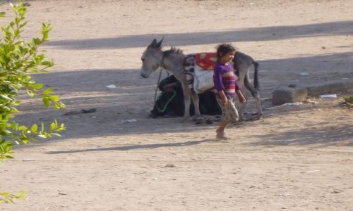 Zdjęcie EGIPT / - / okolice Qeny / Dziewczynka