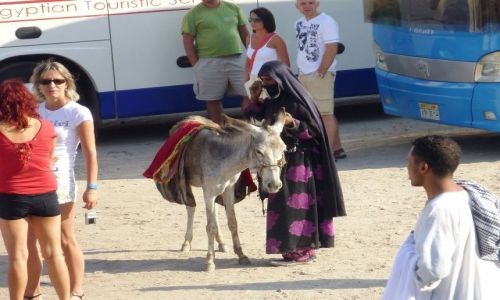 Zdjęcie EGIPT / - / okolice Qeny / Zagubiona ?