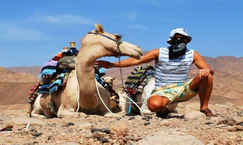 Zdjcie EGIPT / Synaj / Okolice Dahab / Na pustyni