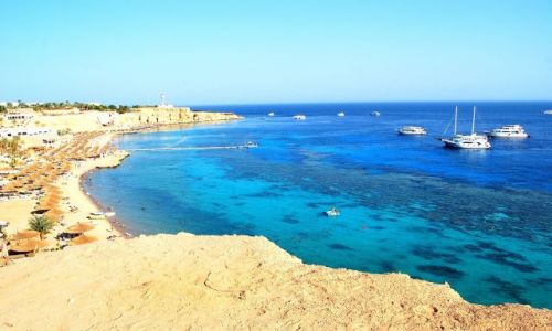 Zdjcie EGIPT / Synaj / Sharm el Shaikh / Plaa
