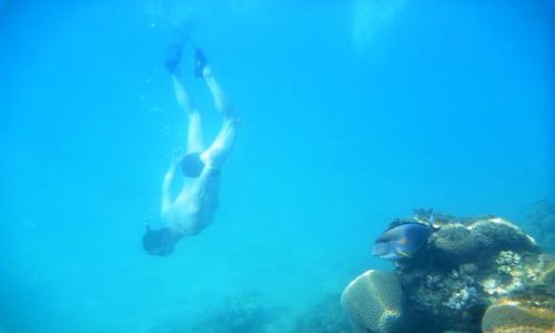 Zdjecie EGIPT / - / Hurghada / W wodzie