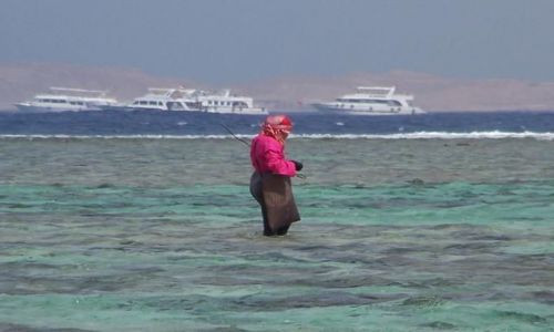 Zdjęcie EGIPT / Półwysep Synaj / Rafy koralowe /