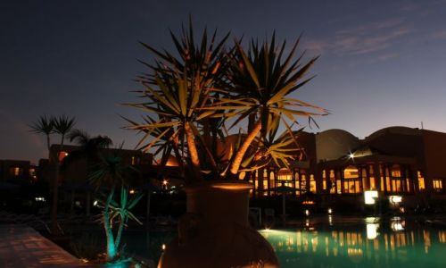 Zdjecie EGIPT / Hurgharda / alibaba resort / kolorowe kaktusy