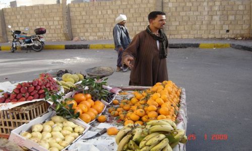 Zdjecie EGIPT / - / Hurghada / Pychotka
