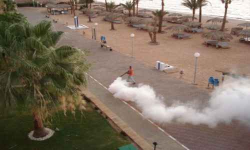 Zdjęcie EGIPT / TABA / HOTEL- GODZ 4 RANO / LIKWIDATOR  OWADÓW