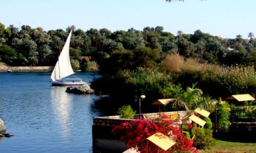 Zdjecie EGIPT / - / Luxor / Po Nilu 2