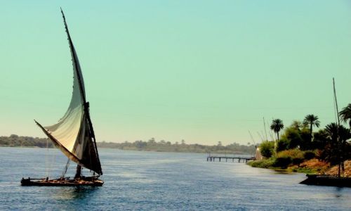 Zdjecie EGIPT / - / Luxor / Nad Nilem 5