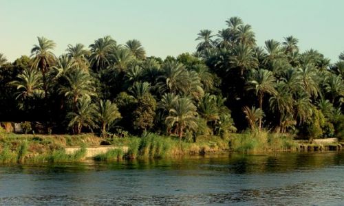 Zdjecie EGIPT / - / Luxor / Nad brzegami Nilu 2